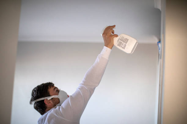 Best DIY Mold Remediation Support Services in Charlestown, MD