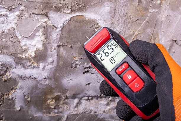 Best Insurance-Related Mold Remediation in Charlestown, MD